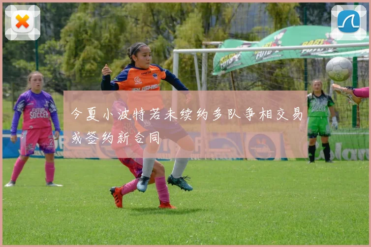 今夏小波特若未续约多队争相交易或签约新合同